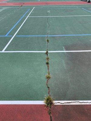 City of Pittsboro does not keep up these tennis courts