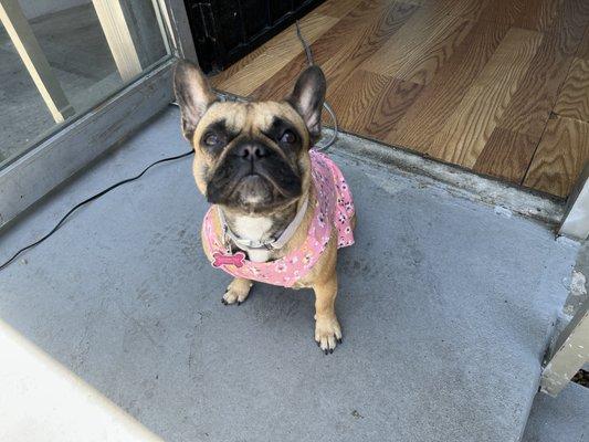 Rain in her summer dress