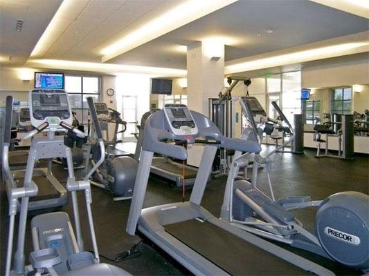 Cardio Equipment