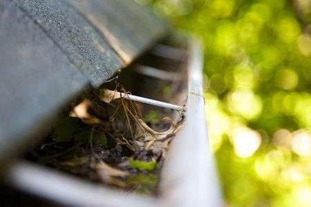 Gutter Cleaning