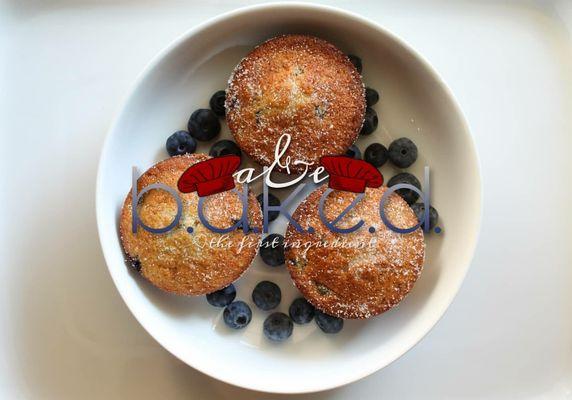 Gourmet Blueberry Muffins