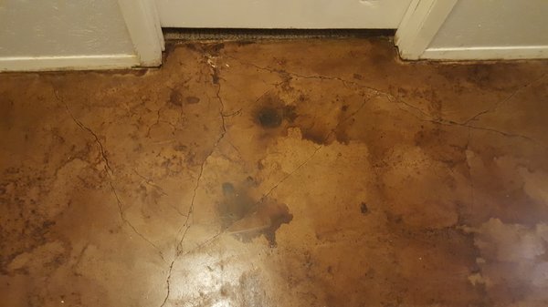 Raul's Concrete Stain in Plano, TX