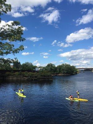 Experience Bangor's waterfront by renting our stand up paddle boards! Just $30 for 2 hours, $45 for 4 hours, or $65 for all day.