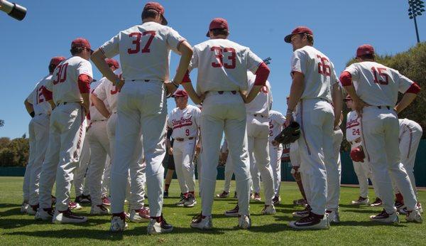 Stanford Baseball