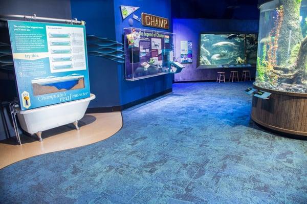 ECHO Science Center Sunken Ship Room - Water Like Carpet tile