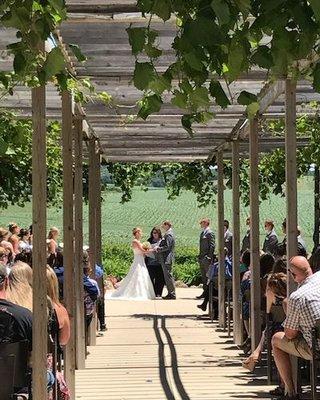 Wedding in the Vineyard