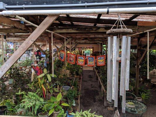 The indoor gardens taken from the high boy counter. Sipped our tea, talked and relaxed. Eve says you can bring adult beverages with you too