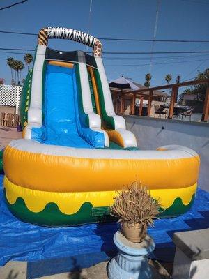 18ft tall beautiful Safari Water Slide. Perfect for an animal themed event. Order online. Rental in Los Angeles.