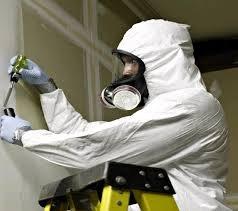 Mold Remediation