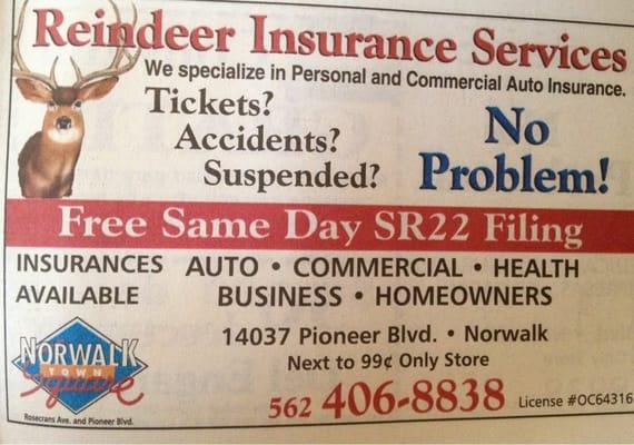 Reindeer Insurance Services