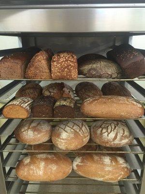 Bread from Germany baked daily!!! Frozen brochen for sale