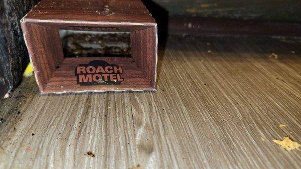 Oh look at this lovely roach motel I got for their stay