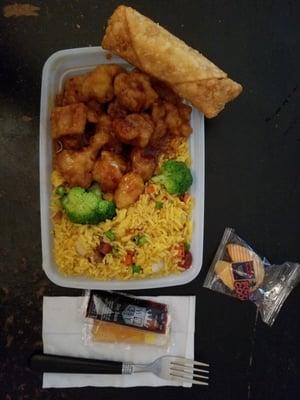 This is the take out that I got today, General Tso's Chicken combination platter with pork fried rice and a shrimp egg roll, yummy!