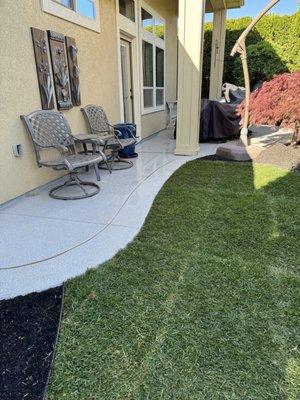 Back yard rehab. Sod/bark/edging