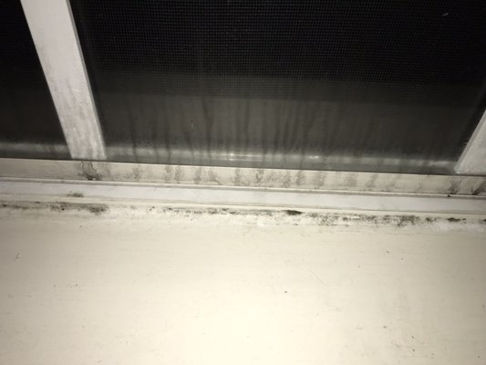 Nasty mold on the crappy windows they have here. They were replaced after much debate...