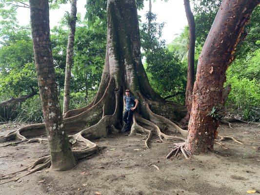 On one of our retreat properties in Costa Rica in Playa Tamales in the Osa Peninsula. Come joins us for a retreat.