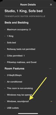 Room description - TownPlace Suites Hopkinsville, Ky. Rm 218 - Hwy noise extremely loud.