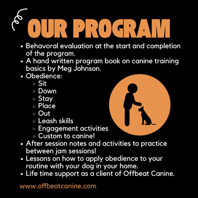 Offbeat Canine Training