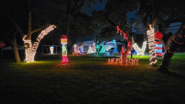 We invited our families and ministry groups to "adopt a tree" for this Advent/Christmas season, and they did not disappoint. Beautiful jobs!