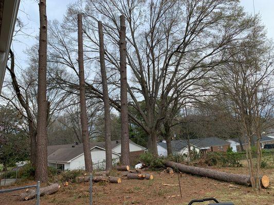 Debris from trees topped left in yard for a month. Was told it would only take 3 days.