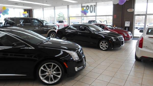 Stephen Cadillac GMC Showroom