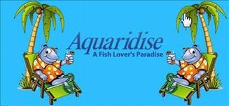 Aquaridise