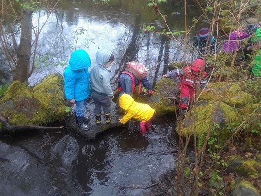 Field trips to our local parks