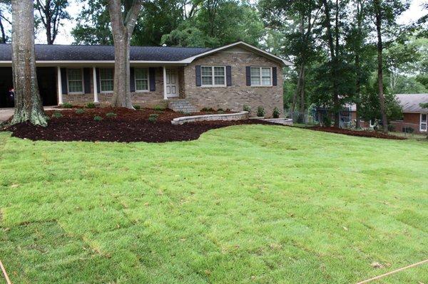 Meyers Zoysia sod