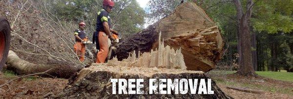 Arbormax Tree Service