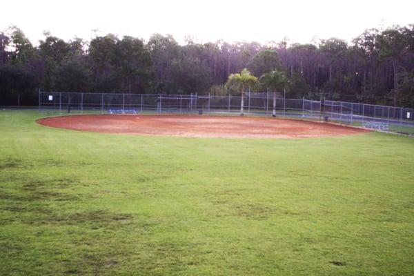 Aerial view of the baseball field.