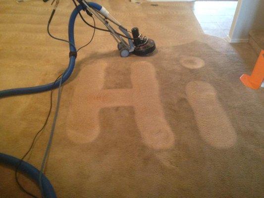 Hi From Alert Carpet Cleaning And Services