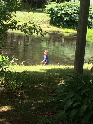 It's a nice quiet campground. We are booking for 2017. Kippy and his wife (the owners) make you feel welcome