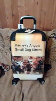 Barney's Angels small dog Sitters