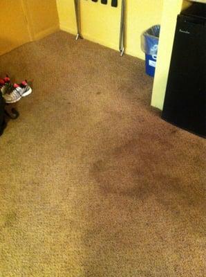 One of many disgusting carpet stains