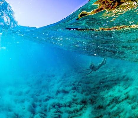 Oahu Underwater Adventure Photography Lisa Putnam