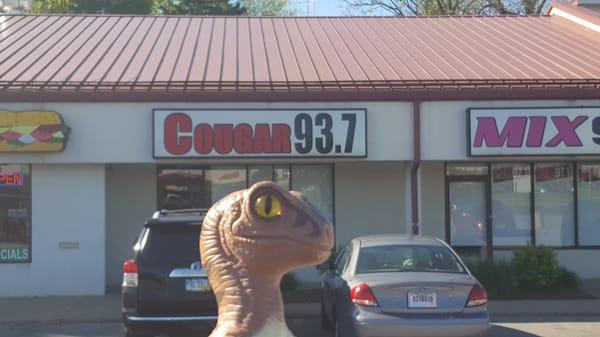 Cougar 93.7