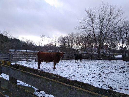 Slate Run Living Historical Farm