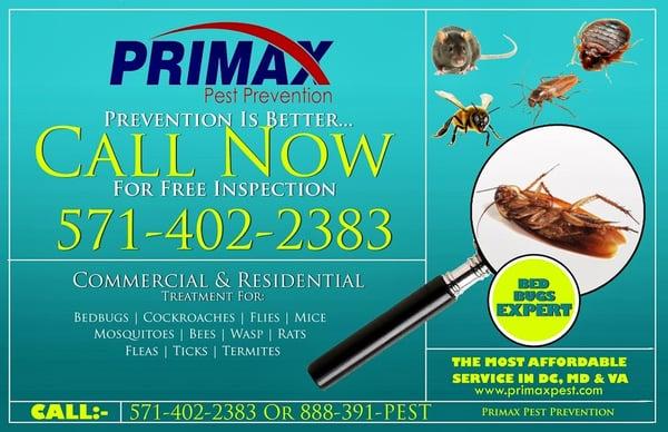 Call Us to come and take care of any pest issues