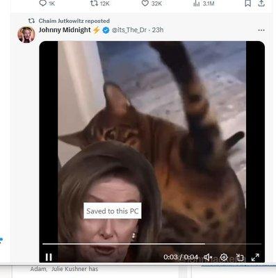 Video of physical abuse toward Nancy Pelosi by a cat