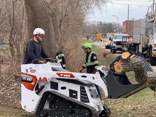 Sawvell Tree Service