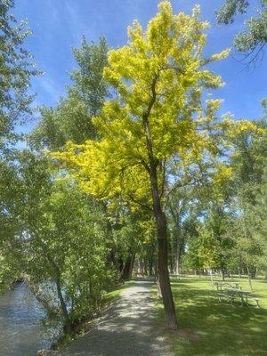 Sweet trail along the John Day river.