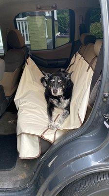 Bruce didn't want to get out of his new car he loves it so much!!