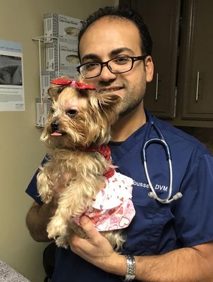 Dr Youssef with my Yorkie Penny