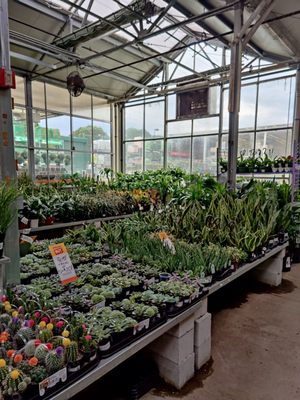 Garden center