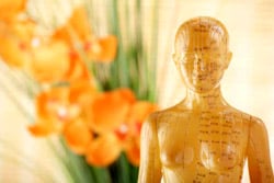 Chesapeake Acupuncture and Healing Arts