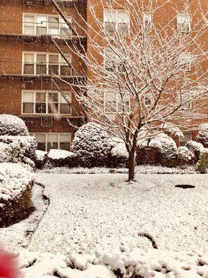 The snowy lawn in front of the building