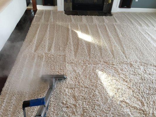 Residential carpet cleaning