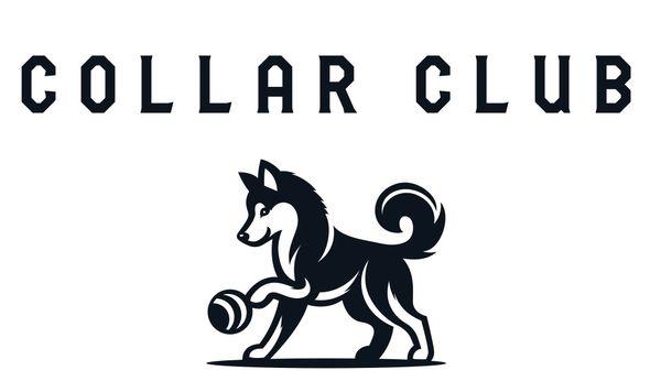 Collar Club Doggie Daycare