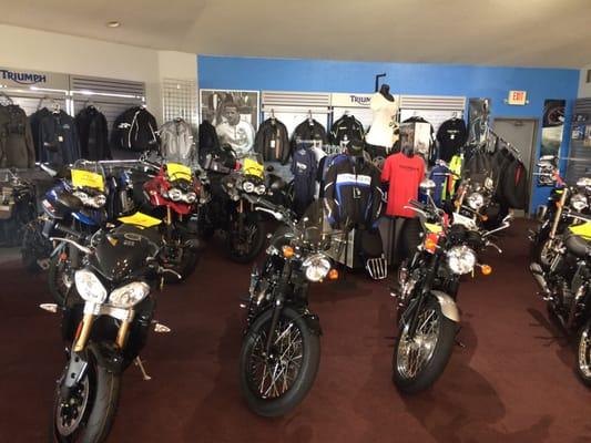 Lots of triumph products in stock