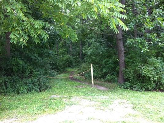 Small trail entrance